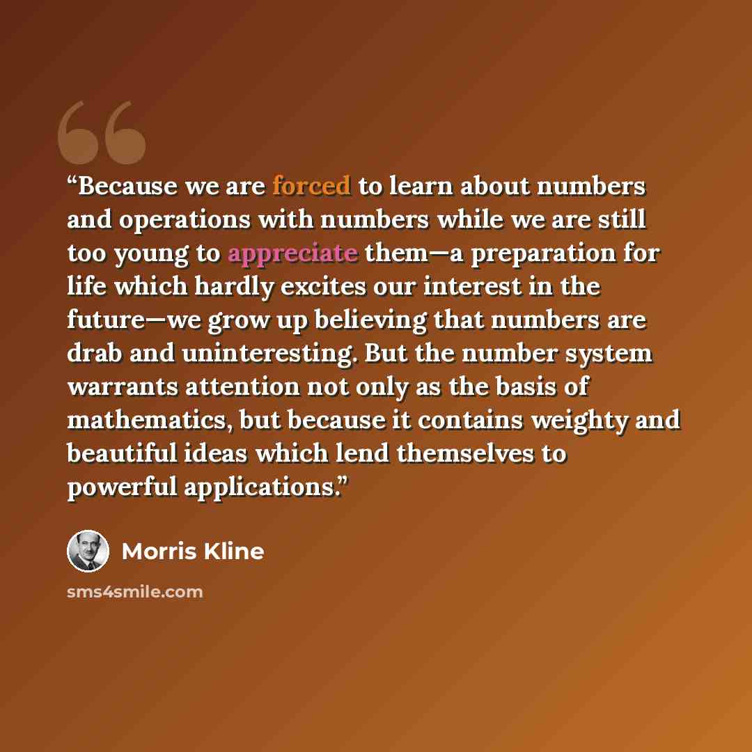 “Because we are forced to learn about numbers and operations with numbers while we are still too young to appreciate them—a preparation for life which hardly excites our interest in the future—we grow up believing that numbers are drab and uninteresting. But the number system warrants attention not…” quote by Morris Kline