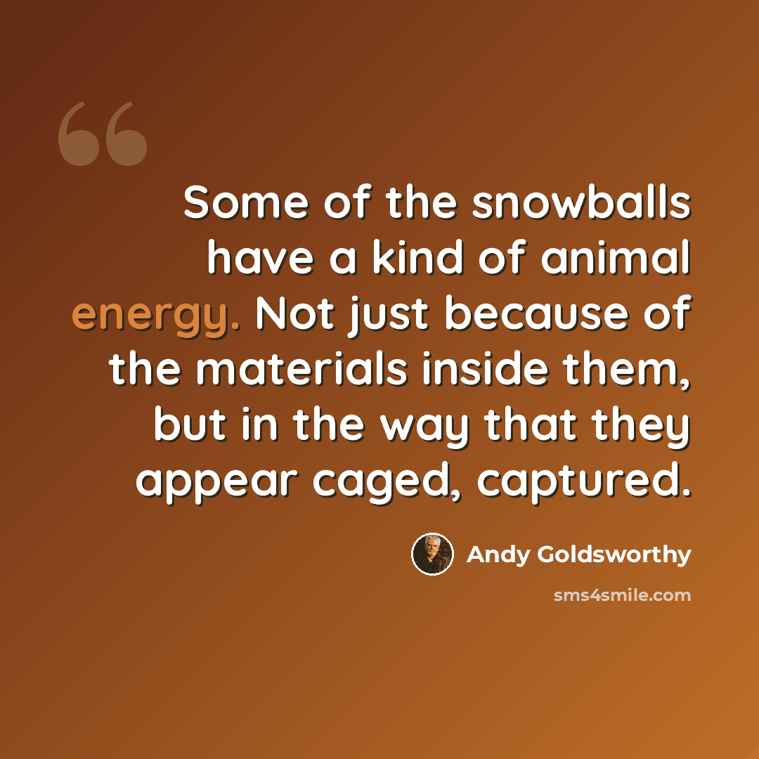 “Some of the snowballs have a kind of animal energy. Not just because of the materials inside them, but in the way that they appear caged, captured.” quote by Andy Goldsworthy
