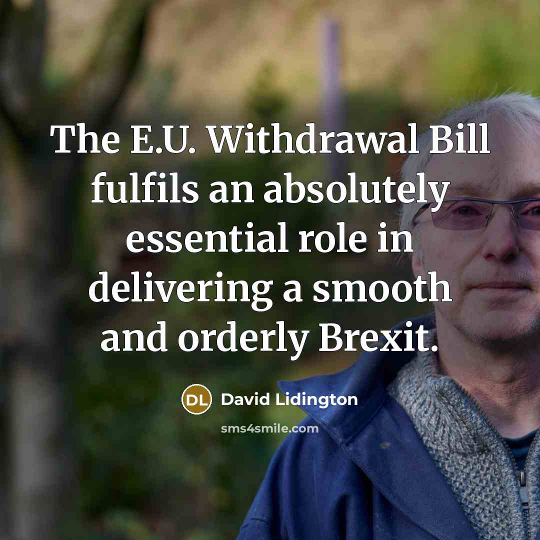 “The E.U. Withdrawal Bill fulfils an absolutely essential role in delivering a smooth and orderly Brexit.” quote by David Lidington