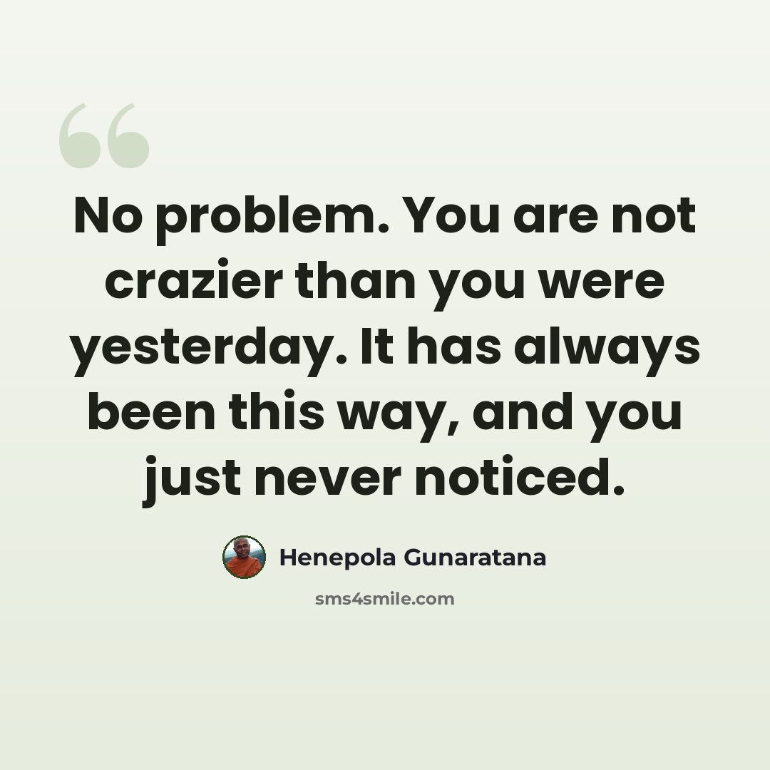 “No problem. You are not crazier than you were yesterday. It has always been this way, and you just never noticed.” quote by Henepola Gunaratana