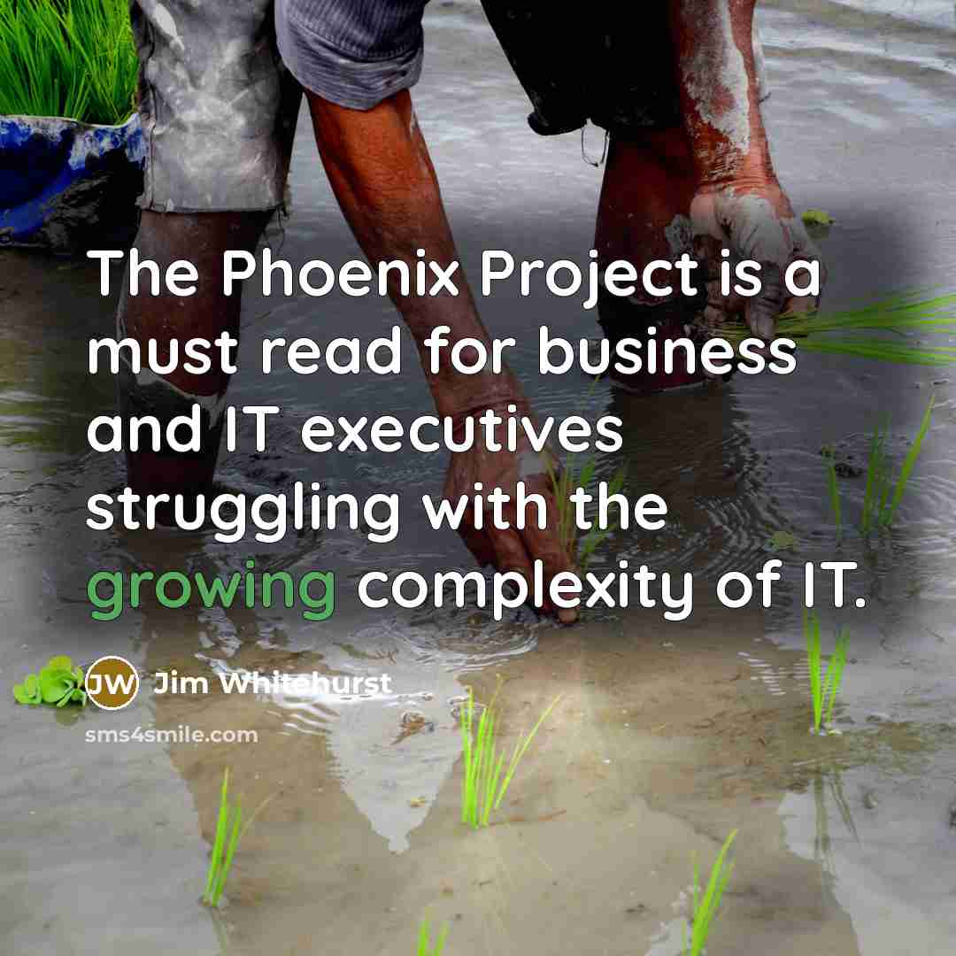 “The Phoenix Project is a must read for business and IT executives struggling with the growing complexity of IT.” quote by Jim Whitehurst