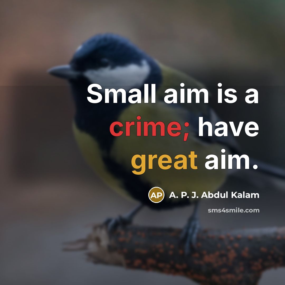 “Small aim is a crime; have great aim.” quote by A. P. J. Abdul Kalam