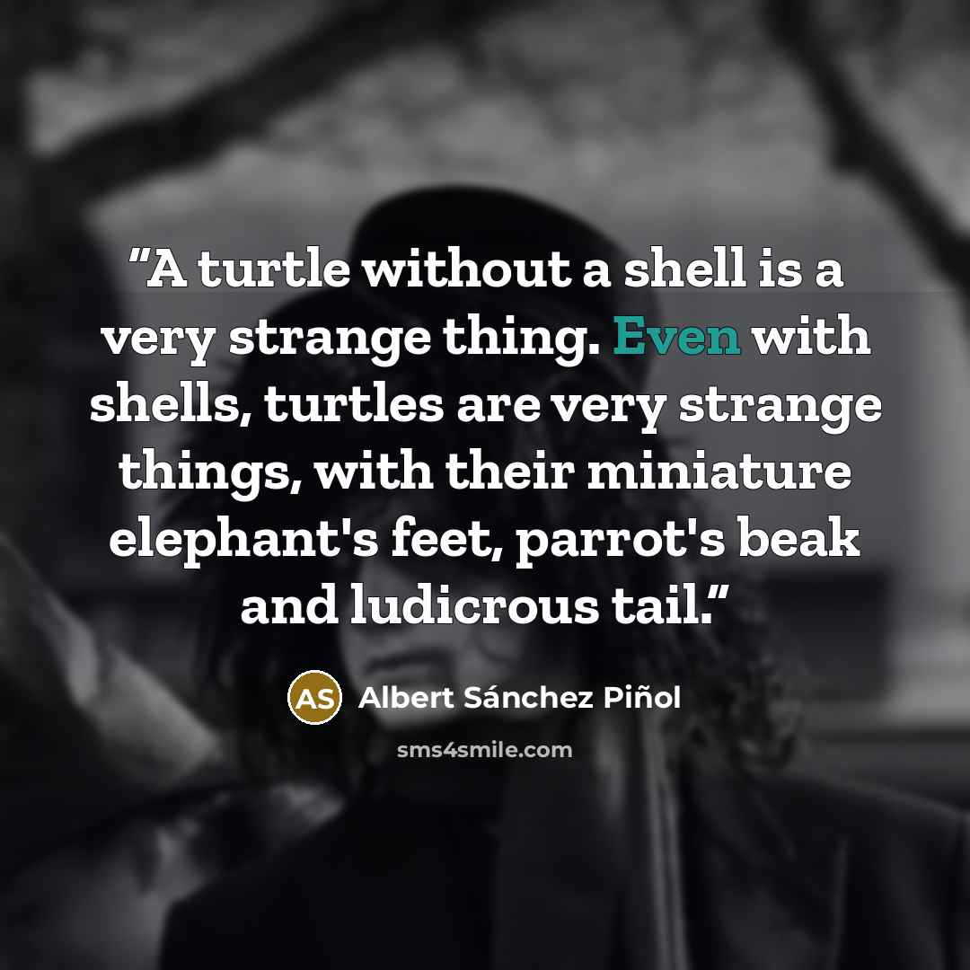 “A turtle without a shell is a very strange thing. Even with shells, turtles are very strange things, with their miniature elephant's feet, parrot's beak and ludicrous tail.” quote by Albert Sánchez Piñol