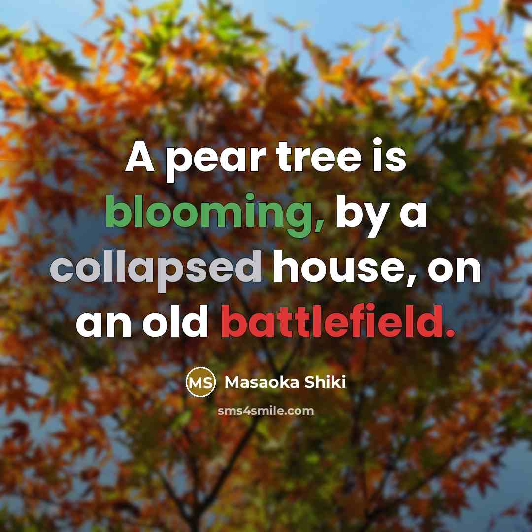“A pear tree is blooming, by a collapsed house, on an old battlefield.” quote by Masaoka Shiki