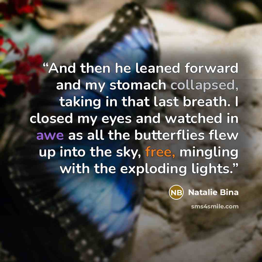 “And then he leaned forward and my stomach collapsed, taking in that last breath. I closed my eyes and watched in awe as all the butterflies flew up into the sky, free, mingling with the exploding lights.” quote by Natalie Bina