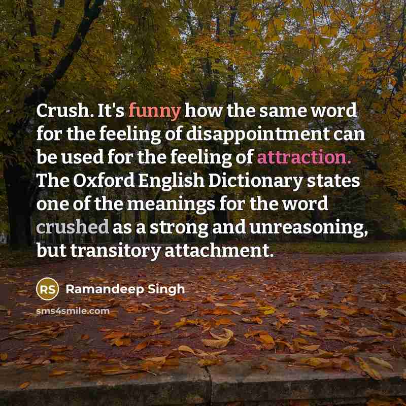 “Crush. It's funny how the same word for the feeling of disappointment can be used for the feeling of attraction. The Oxford English Dictionary states one of the meanings for the word crushed as a strong and unreasoning, but transitory attachment.” quote by Ramandeep Singh