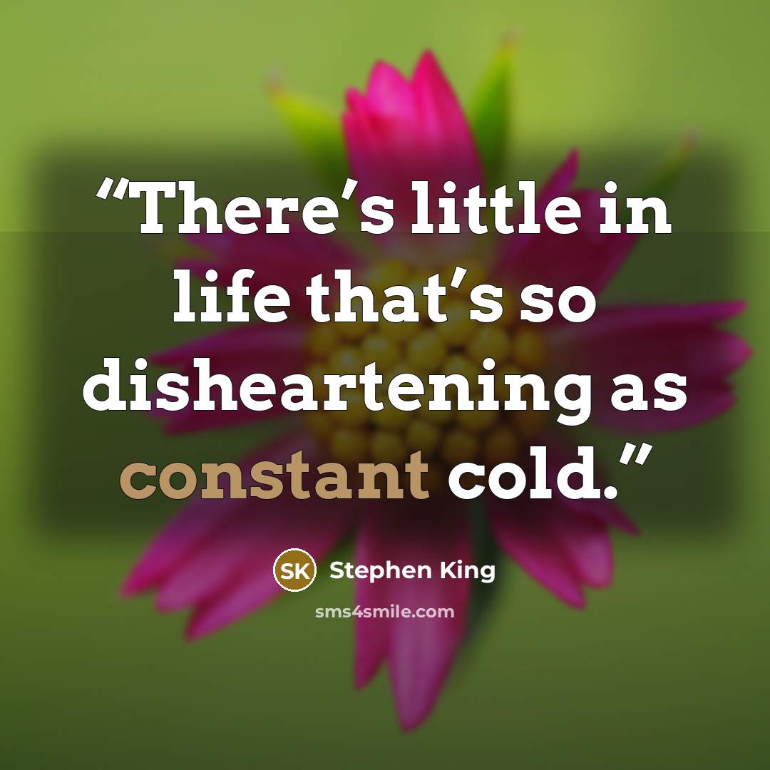 “There’s little in life that’s so disheartening as constant cold.” quote by Stephen King