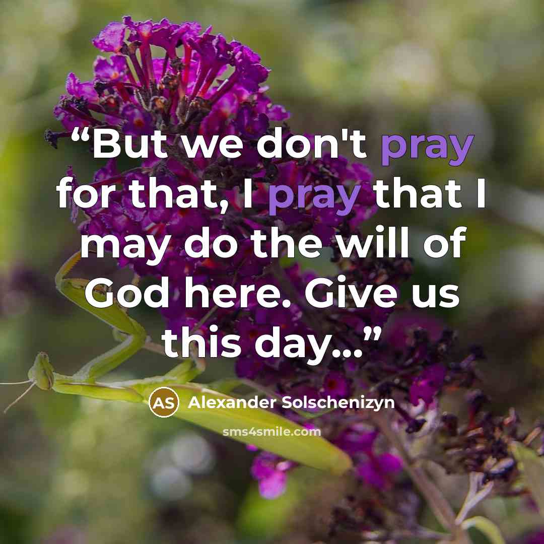 “But we don't pray for that, I pray that I may do the will of God here. Give us this day...” quote by Alexander Solschenizyn