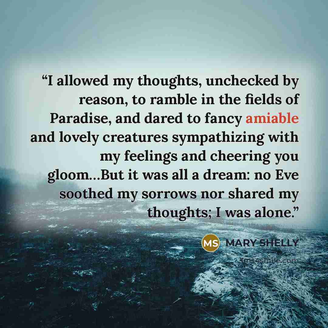 “I allowed my thoughts, unchecked by reason, to ramble in the fields of Paradise, and dared to fancy amiable and lovely creatures sympathizing with my feelings and cheering you gloom…But it was all a dream: no Eve soothed my sorrows nor shared my thoughts; I was alone.” quote by Mary Shelly