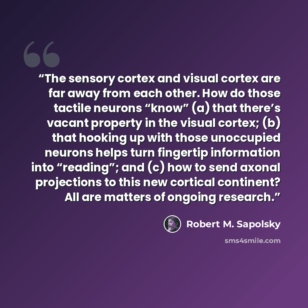 “The sensory cortex and visual cortex are far away from each other. How do those tactile neurons “know” (a) that there’s vacant property in the visual cortex; (b) that hooking up with those unoccupied neurons helps turn fingertip information into “reading”; and (c) how to send axonal projections to…” quote by Robert M. Sapolsky