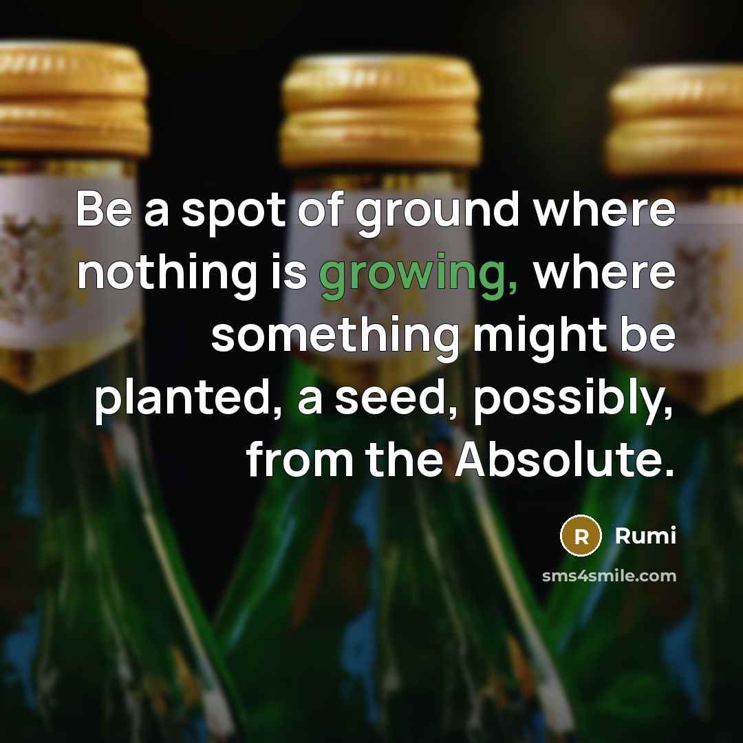“Be a spot of ground where nothing is growing, where something might be planted, a seed, possibly, from the Absolute.” quote by Rumi