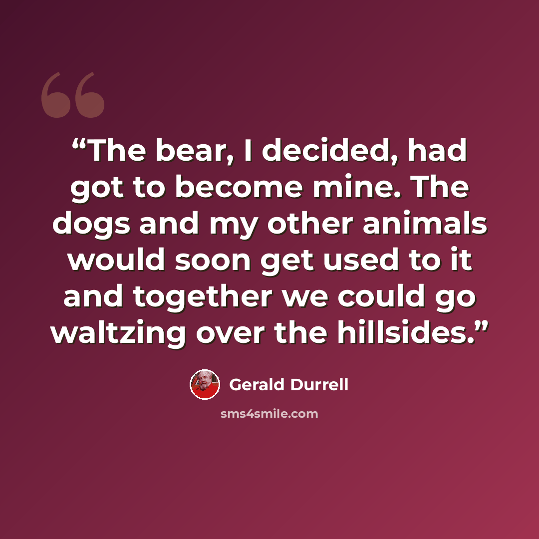 “The bear, I decided, had got to become mine. The dogs and my other animals would soon get used to it and together we could go waltzing over the hillsides.” quote by Gerald Durrell