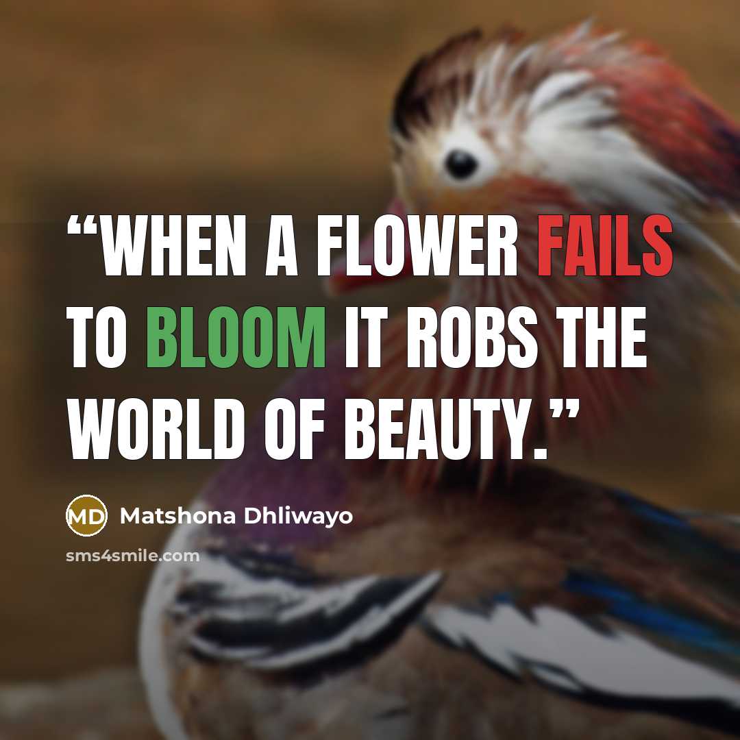 “When a flower fails to bloom it robs the world of beauty.” quote by Matshona Dhliwayo