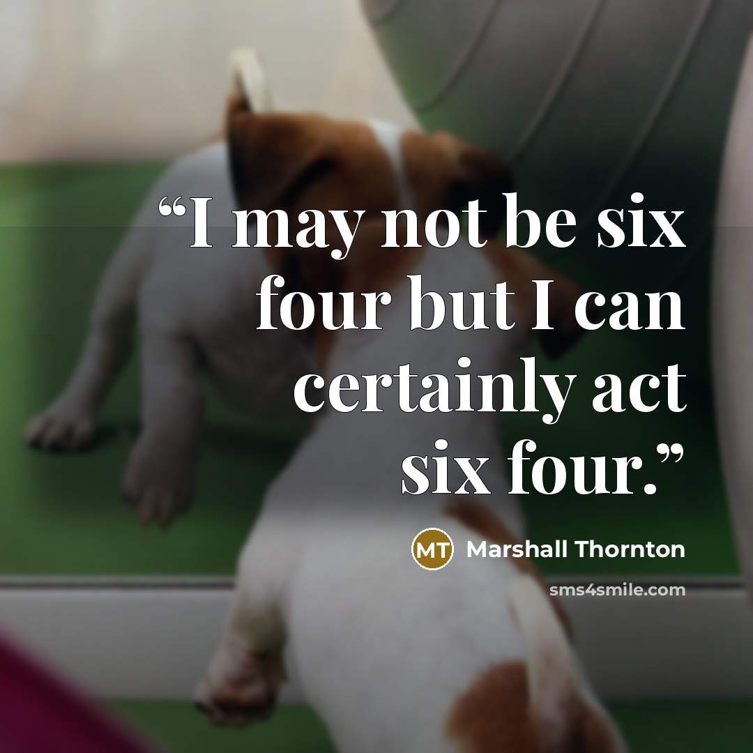 “I may not be six four but I can certainly act six four.” quote by Marshall Thornton