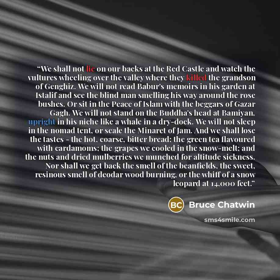 “We shall not lie on our backs at the Red Castle and watch the vultures wheeling over the valley where they killed the grandson of Genghiz. We will not read Babur's memoirs in his garden at Istalif and see the blind man smelling his way around the rose bushes. Or sit in the Peace of Islam with the…” quote by Bruce Chatwin