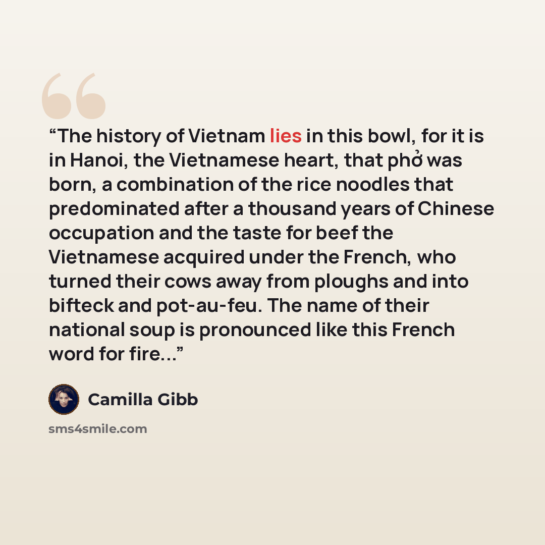 “The history of Vietnam lies in this bowl, for it is in Hanoi, the Vietnamese heart, that phở was born, a combination of the rice noodles that predominated after a thousand years of Chinese occupation and the taste for beef the Vietnamese acquired under the French, who turned their cows away from…” quote by Camilla Gibb