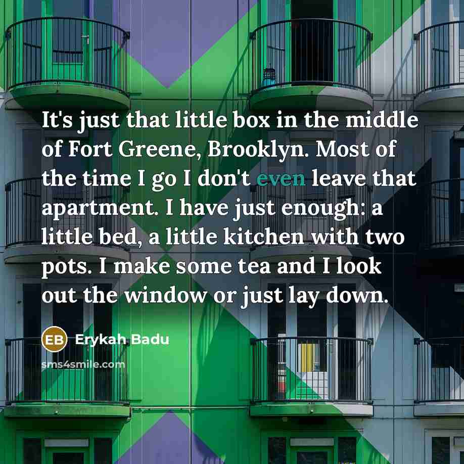 “It's just that little box in the middle of Fort Greene, Brooklyn. Most of the time I go I don't even leave that apartment. I have just enough: a little bed, a little kitchen with two pots. I make some tea and I look out the window or just lay down.” quote by Erykah Badu