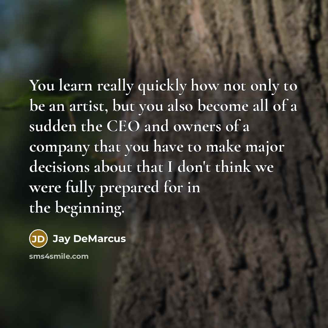“You learn really quickly how not only to be an artist, but you also become all of a sudden the CEO and owners of a company that you have to make major decisions about that I don't think we were fully prepared for in the beginning.” quote by Jay DeMarcus