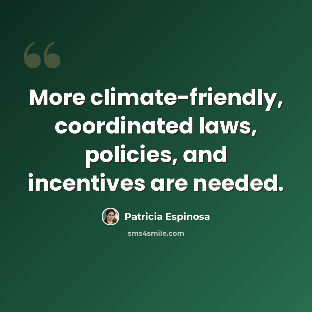 “More climate-friendly, coordinated laws, policies, and incentives are needed.” quote by Patricia Espinosa