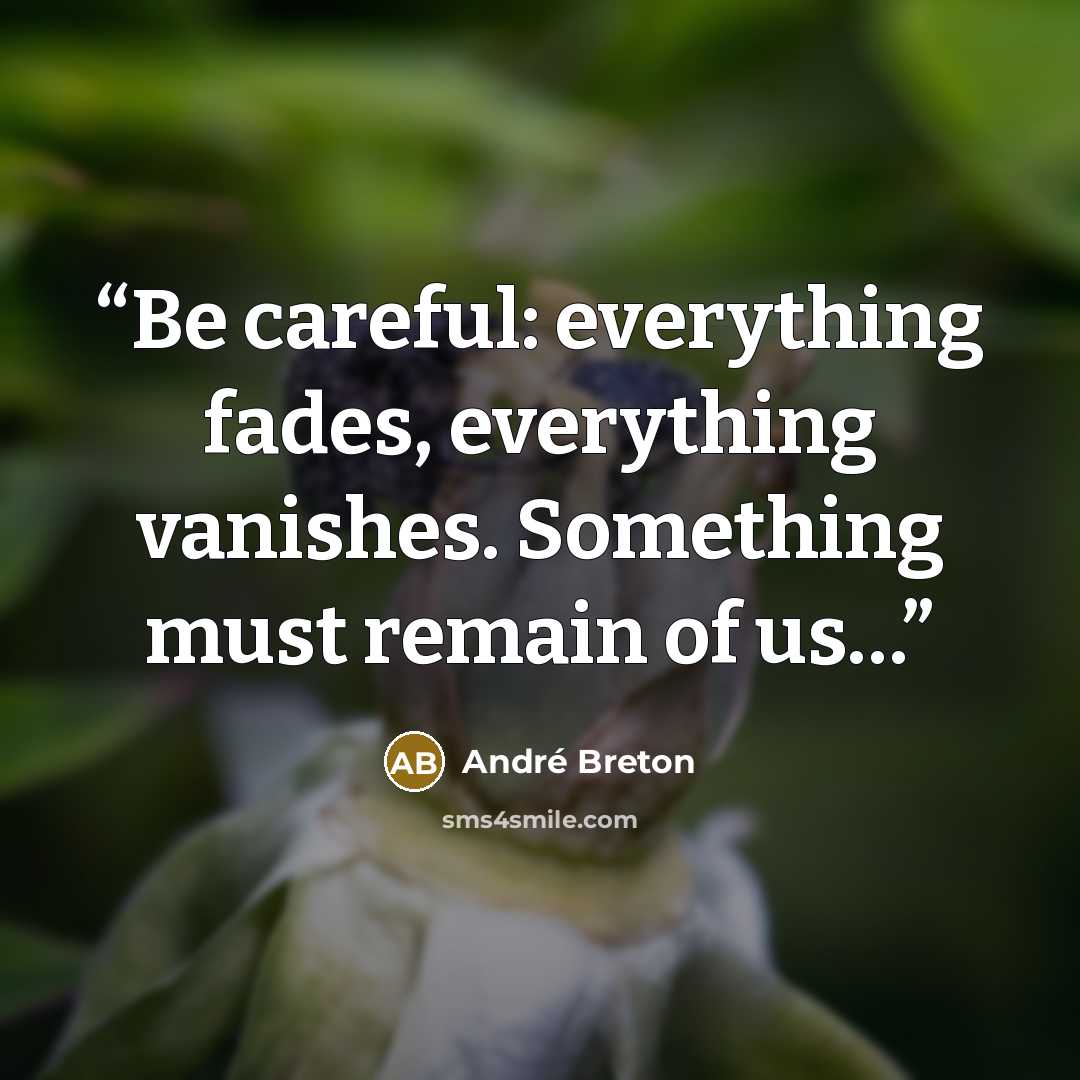 “Be careful: everything fades, everything vanishes. Something must remain of us…” quote by André Breton