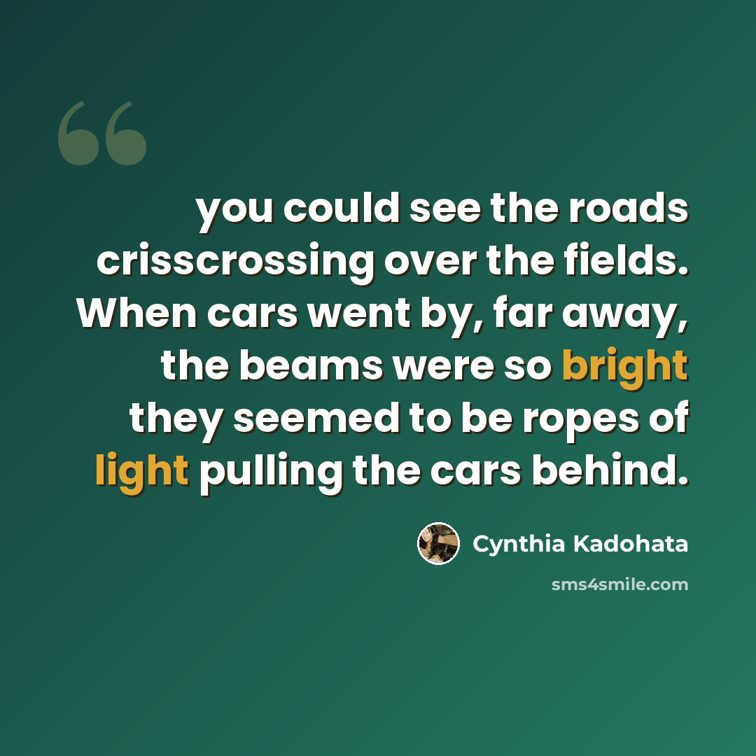 “you could see the roads crisscrossing over the fields. When cars went by, far away, the beams were so bright they seemed to be ropes of light pulling the cars behind.” quote by Cynthia Kadohata
