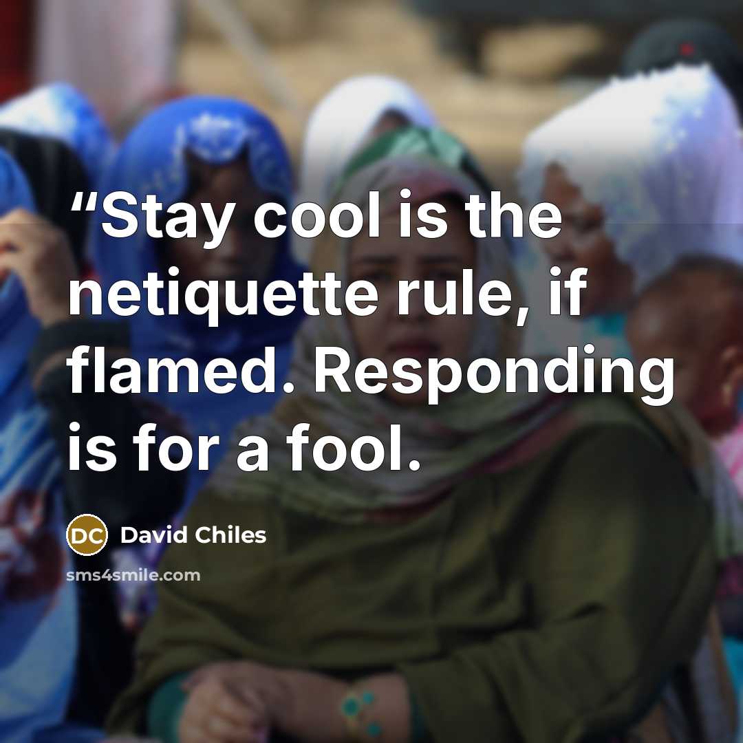 ““Stay cool is the netiquette rule, if flamed. Responding is for a fool.” quote by David Chiles