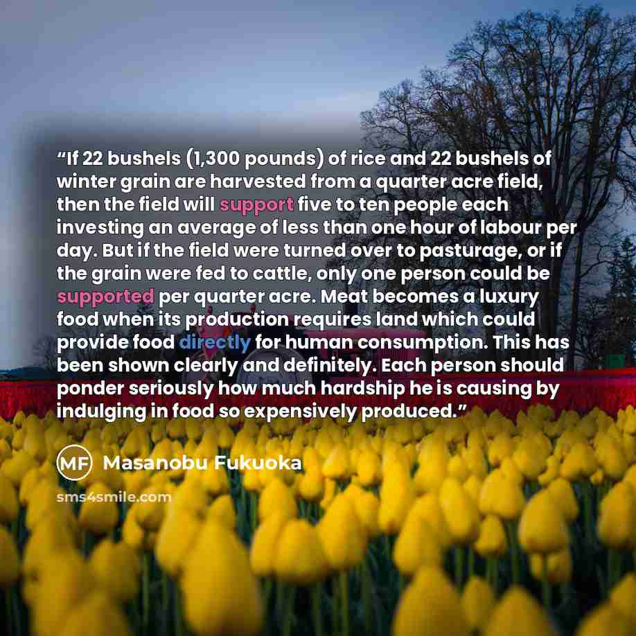 “If 22 bushels (1,300 pounds) of rice and 22 bushels of winter grain are harvested from a quarter acre field, then the field will support five to ten people each investing an average of less than one hour of labour per day. But if the field were turned over to pasturage, or if the grain were fed to…” quote by Masanobu Fukuoka