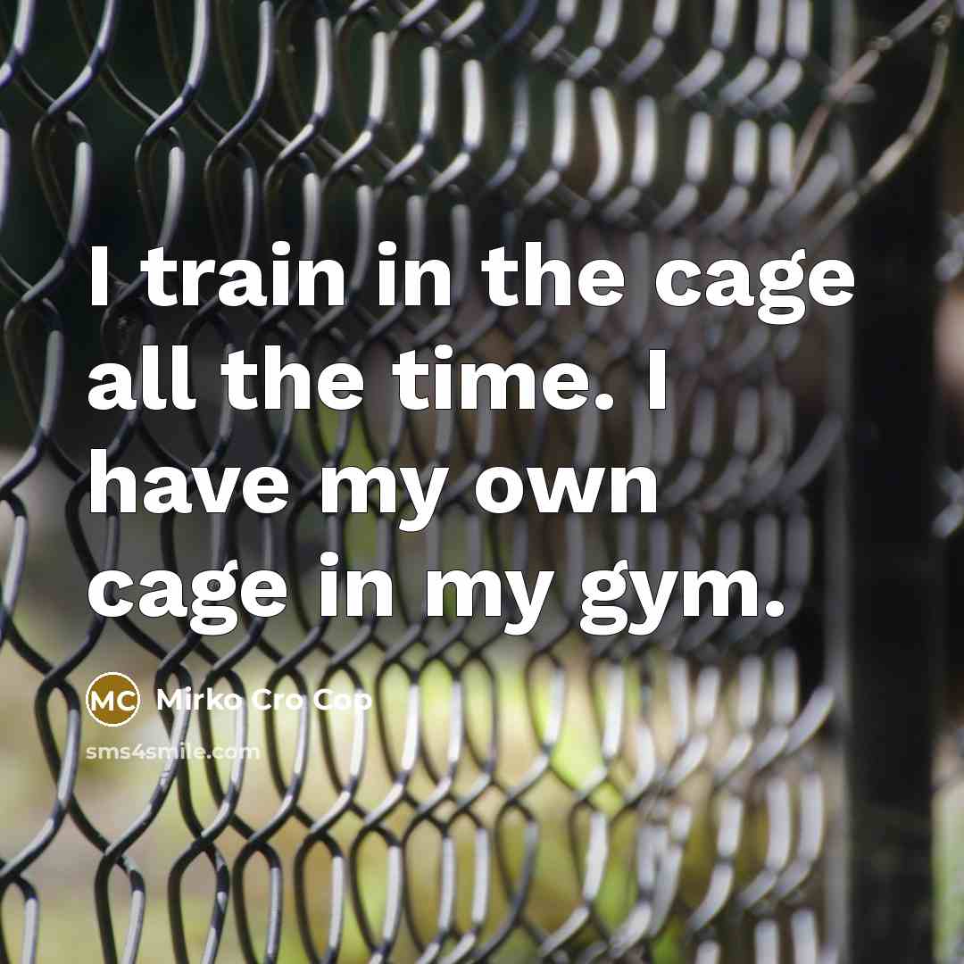 “I train in the cage all the time. I have my own cage in my gym.” quote by Mirko Cro Cop