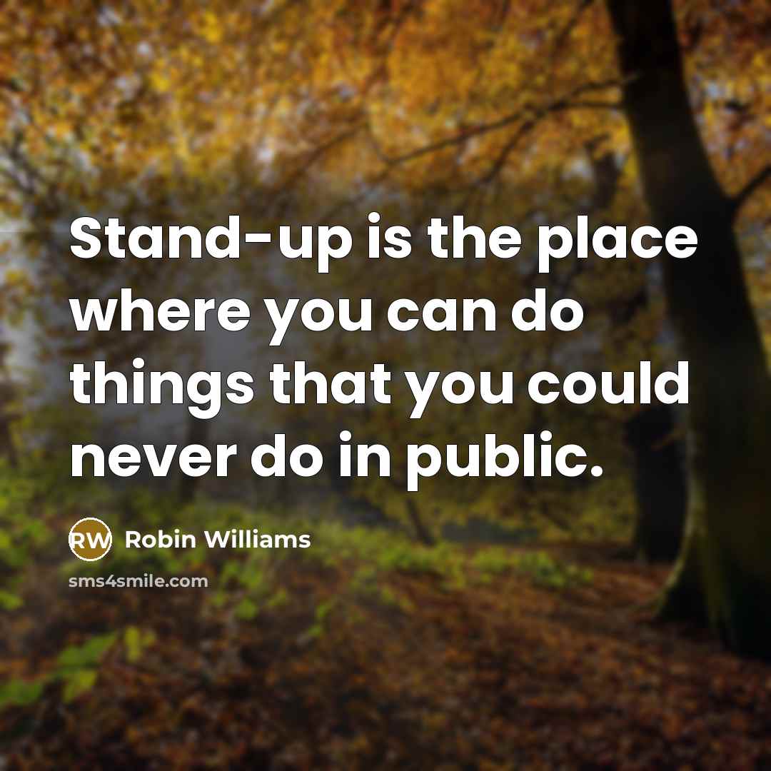 “Stand-up is the place where you can do things that you could never do in public.” quote by Robin Williams
