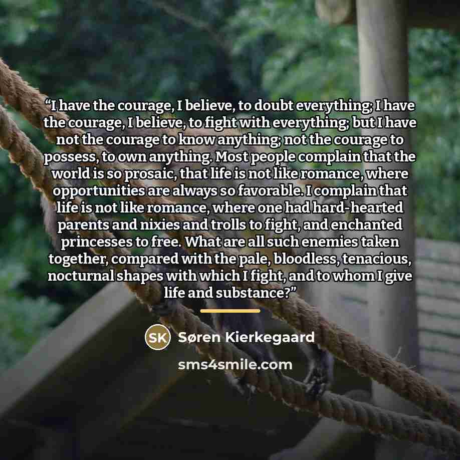“I have the courage, I believe, to doubt everything; I have the courage, I believe, to fight with everything; but I have not the courage to know anything; not the courage to possess, to own anything. Most people complain that the world is so prosaic, that life is not like romance, where…” quote by Søren Kierkegaard