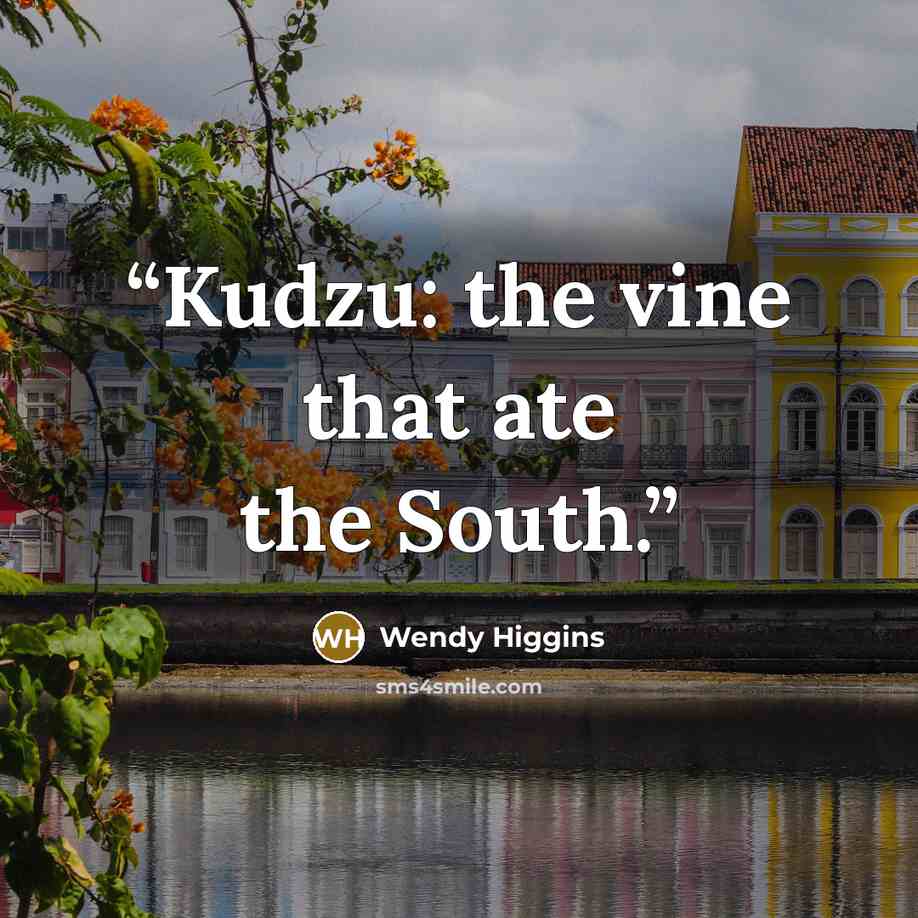 “Kudzu: the vine that ate the South.” quote by Wendy Higgins
