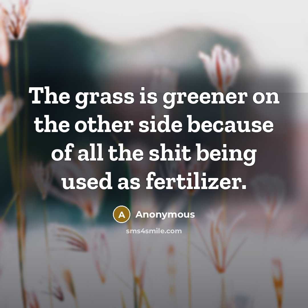 “The grass is greener on the other side because of all the shit being used as fertilizer.” quote by Anonymous