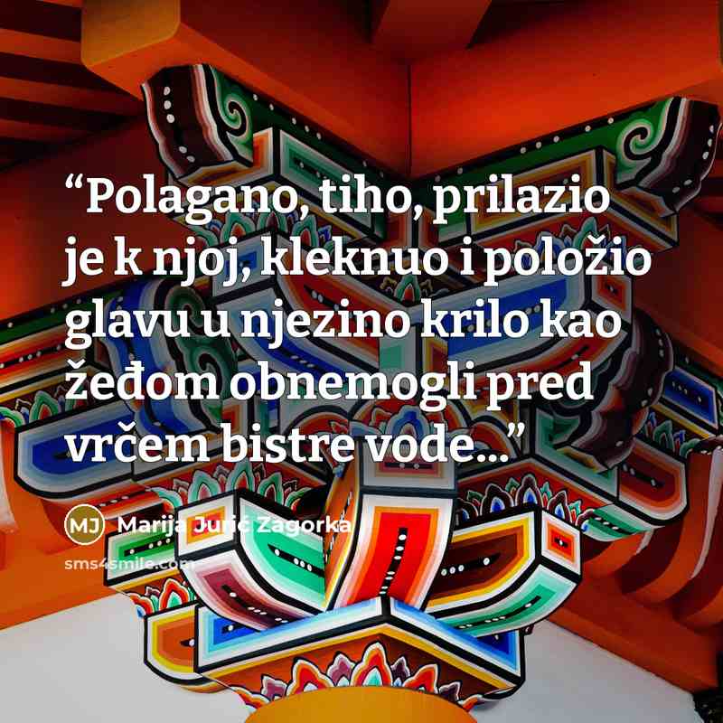 “Polagano, tiho, prilazio je k njoj, kleknuo i položio glavu u njezino krilo kao žeđom obnemogli pred vrčem bistre vode...” quote by Marija Jurić Zagorka