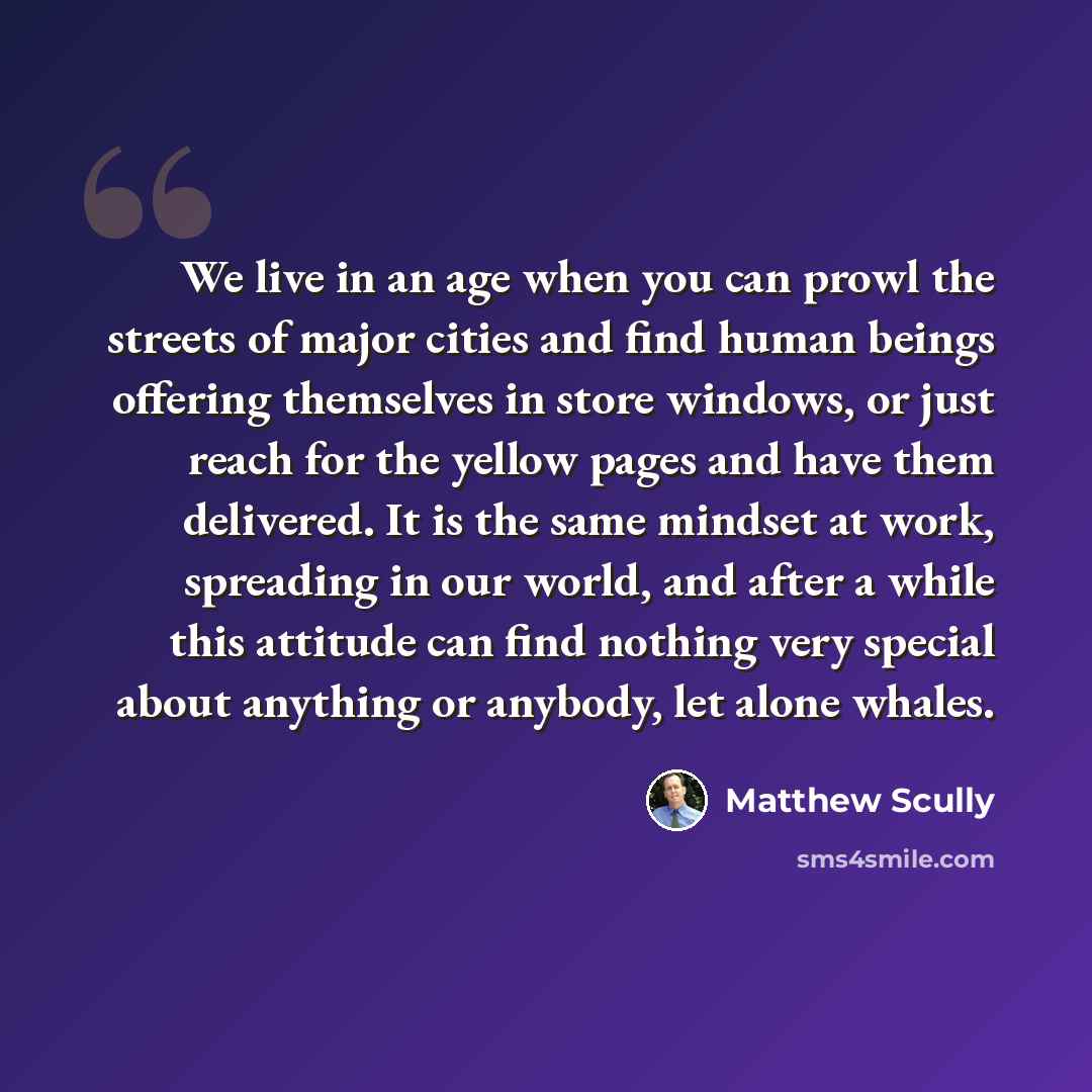 “We live in an age when you can prowl the streets of major cities and find human beings offering themselves in store windows, or just reach for the yellow pages and have them delivered. It is the same mindset at work, spreading in our world, and after a while this attitude can find nothing very…” quote by Matthew Scully
