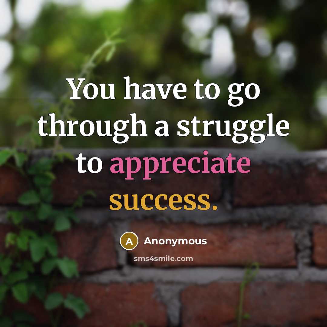 “You have to go through a struggle to appreciate success.” quote by Anonymous