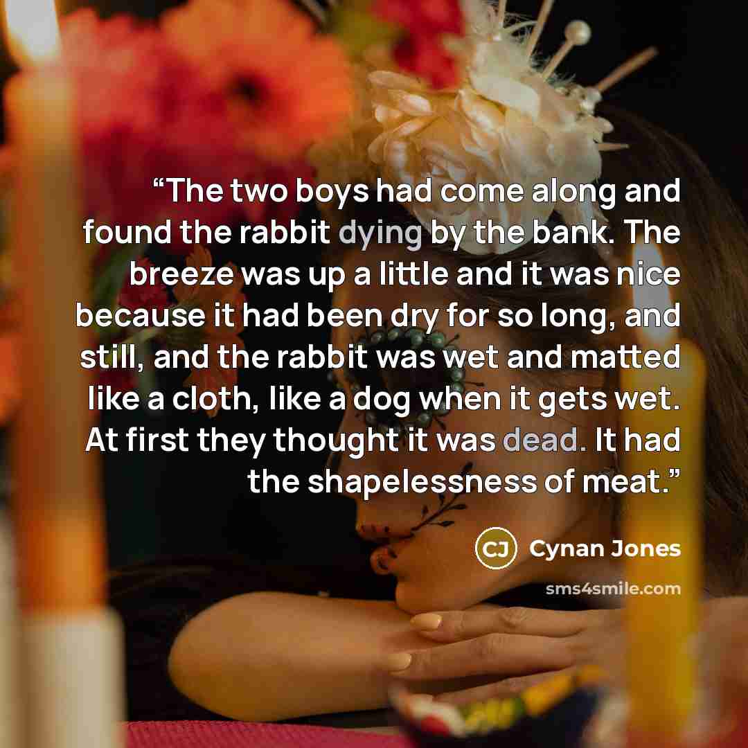 “The two boys had come along and found the rabbit dying by the bank. The breeze was up a little and it was nice because it had been dry for so long, and still, and the rabbit was wet and matted like a cloth, like a dog when it gets wet. At first they thought it was dead. It had the shapelessness of…” quote by Cynan Jones