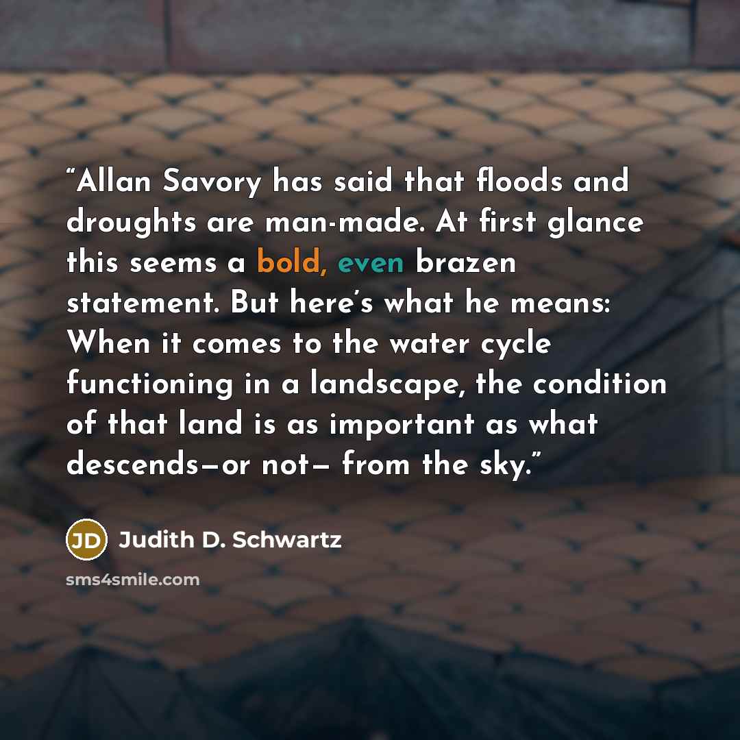 “Allan Savory has said that floods and droughts are man-made. At first glance this seems a bold, even brazen statement. But here’s what he means: When it comes to the water cycle functioning in a landscape, the condition of that land is as important as what descends—or not— from the sky.” quote by Judith D. Schwartz