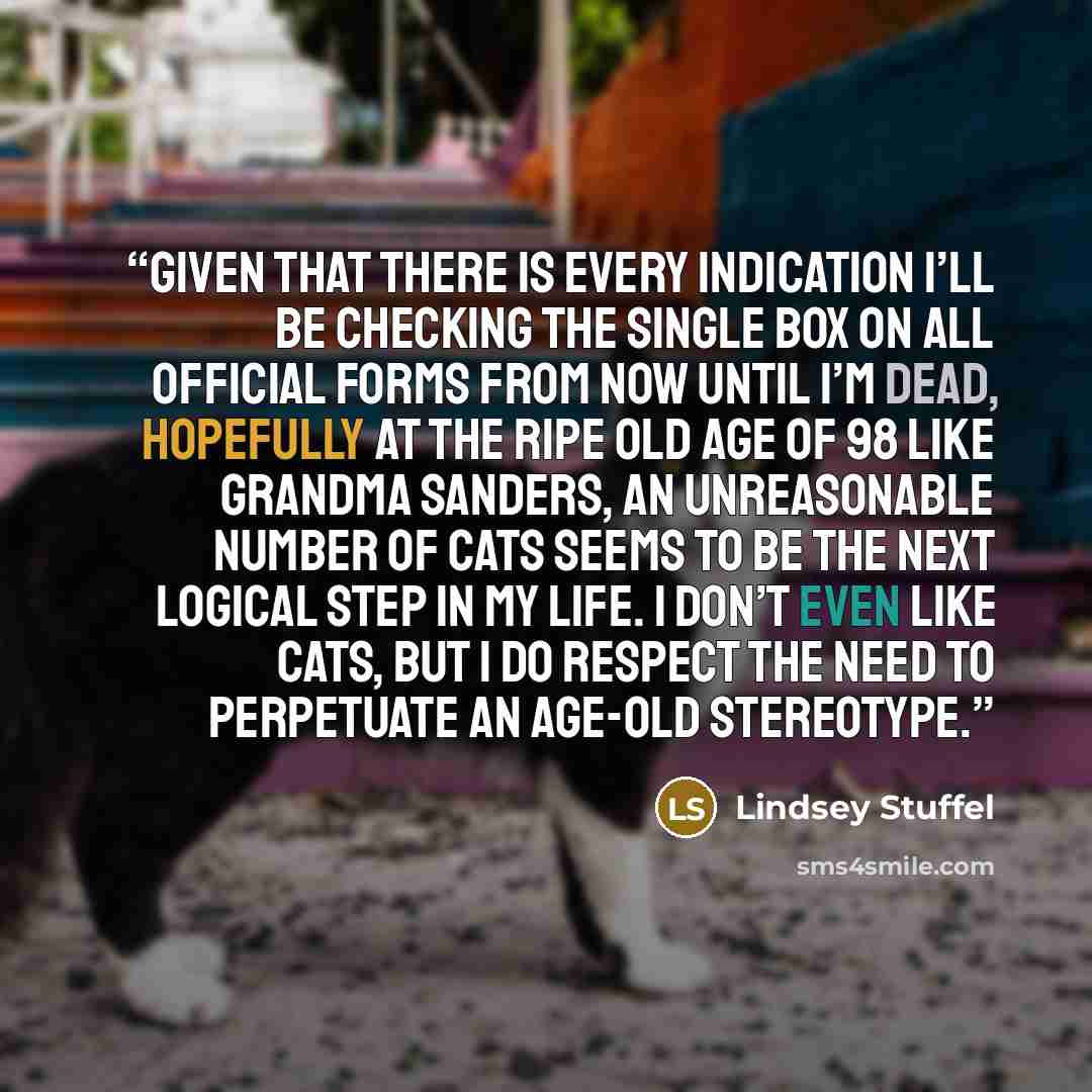 “Given that there is every indication I’ll be checking the single box on all official forms from now until I’m dead, hopefully at the ripe old age of 98 like Grandma Sanders, an unreasonable number of cats seems to be the next logical step in my life. I don’t even like cats, but I do respect the…” quote by Lindsey Stuffel