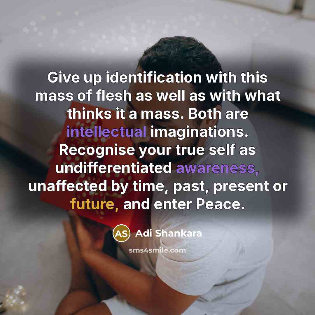 “Give up identification with this mass of flesh as well as with what thinks it a mass. Both are intellectual imaginations. Recognise your true self as undifferentiated awareness, unaffected by time, past, present or future, and enter Peace.” quote by Adi Shankara