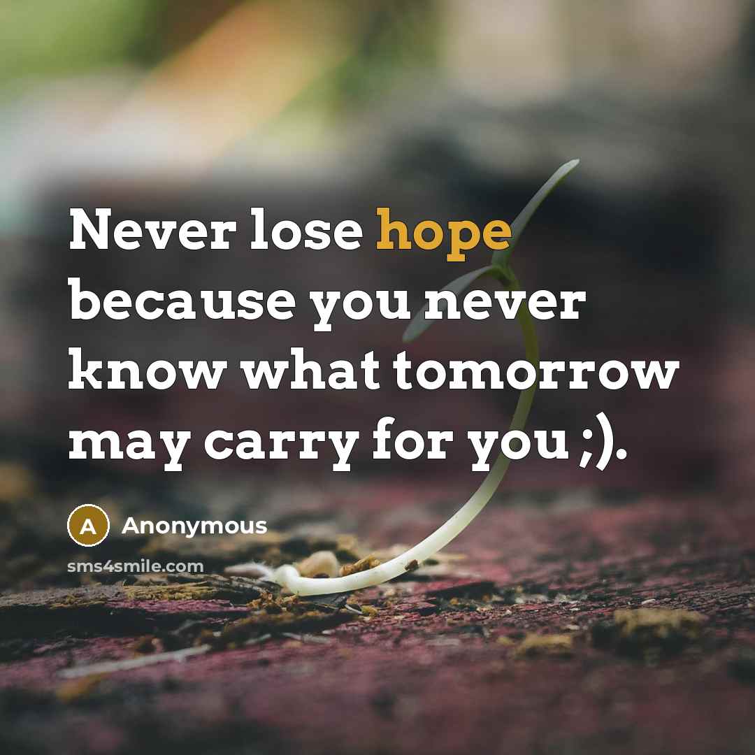 “Never lose hope because you never know what tomorrow may carry for you ;).” quote by Anonymous