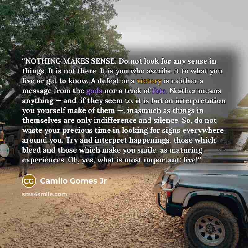 “NOTHING MAKES SENSE. Do not look for any sense in things. It is not there. It is you who ascribe it to what you live or get to know. A defeat or a victory is neither a message from the gods nor a trick of fate. Neither means anything — and, if they seem to, it is but an interpretation you yourself…” quote by Camilo Gomes Jr