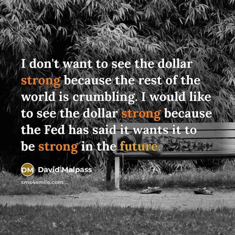 “I don't want to see the dollar strong because the rest of the world is crumbling. I would like to see the dollar strong because the Fed has said it wants it to be strong in the future.” quote by David Malpass