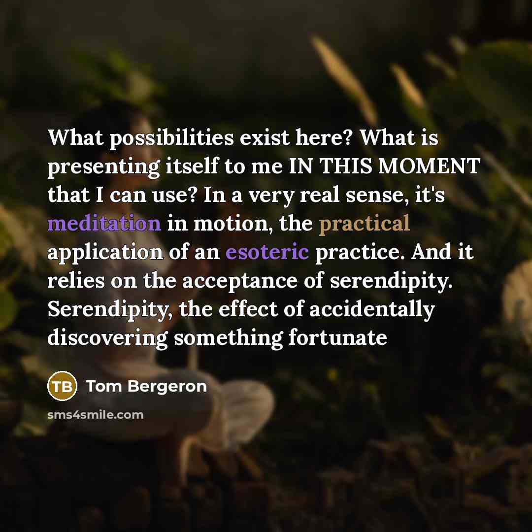 “What possibilities exist here? What is presenting itself to me IN THIS MOMENT that I can use? In a very real sense, it's meditation in motion, the practical application of an esoteric practice. And it relies on the acceptance of serendipity. Serendipity, the effect of accidentally discovering…” quote by Tom Bergeron