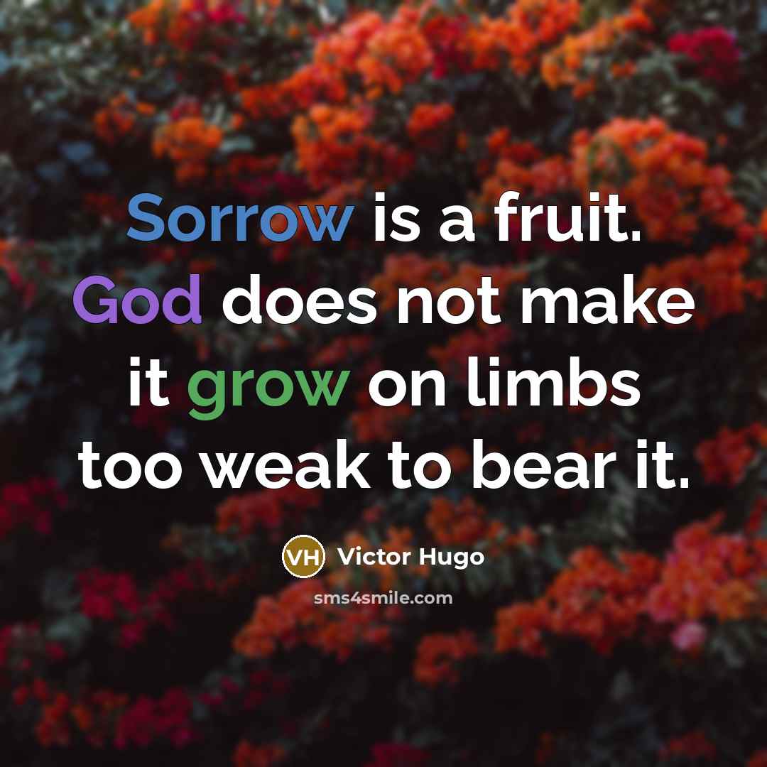“Sorrow is a fruit. God does not make it grow on limbs too weak to bear it.” quote by Victor Hugo