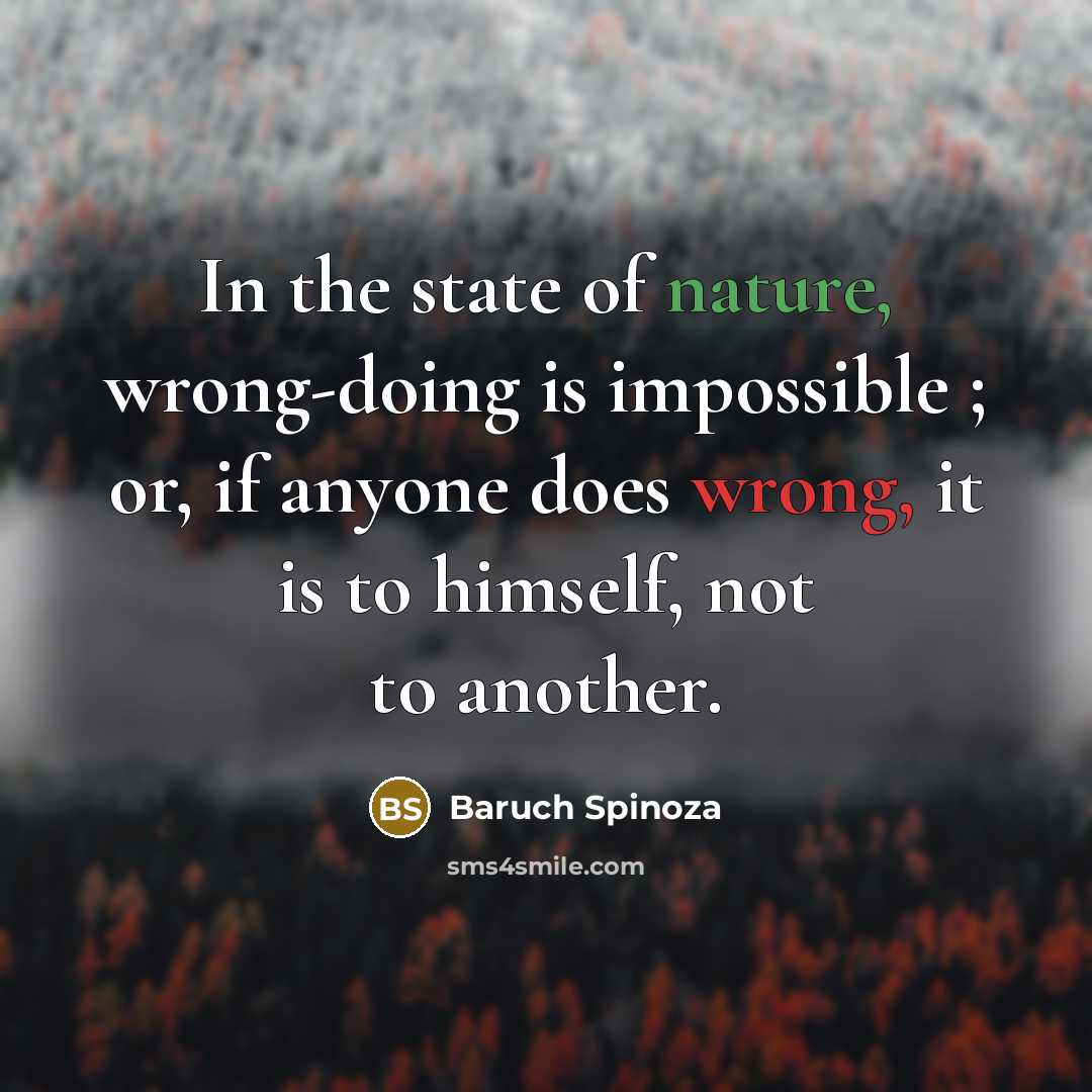 “In the state of nature, wrong-doing is impossible ; or, if anyone does wrong, it is to himself, not to another.” quote by Baruch Spinoza
