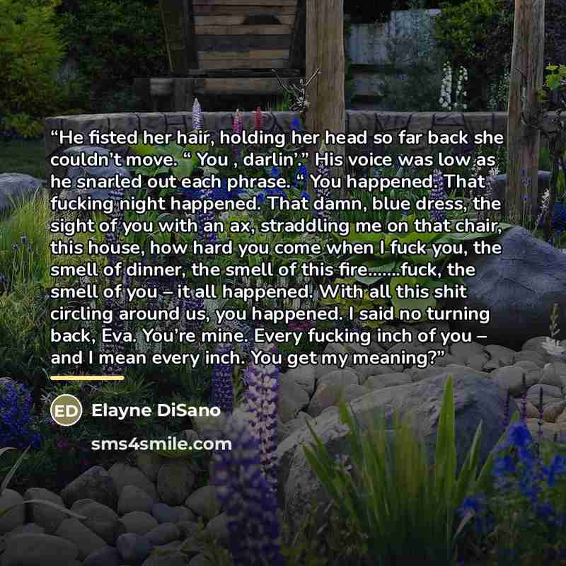 “He fisted her hair, holding her head so far back she couldn’t move. “ You , darlin’.” His voice was low as he snarled out each phrase. “ You happened. That fucking night happened. That damn, blue dress, the sight of you with an ax, straddling me on that chair, this house, how hard you come when I…” quote by Elayne DiSano