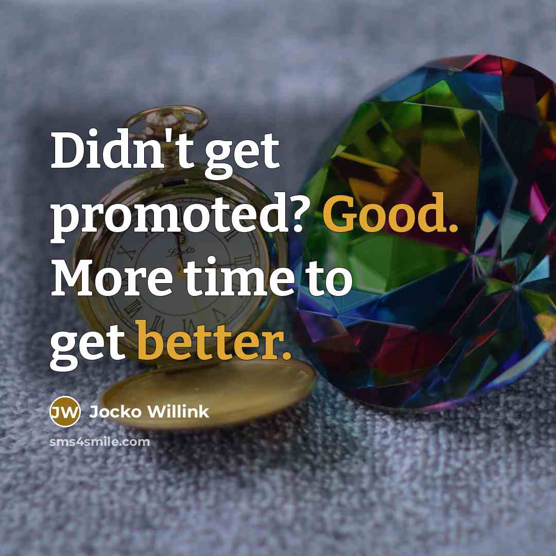 “Didn't get promoted? Good. More time to get better.” quote by Jocko Willink