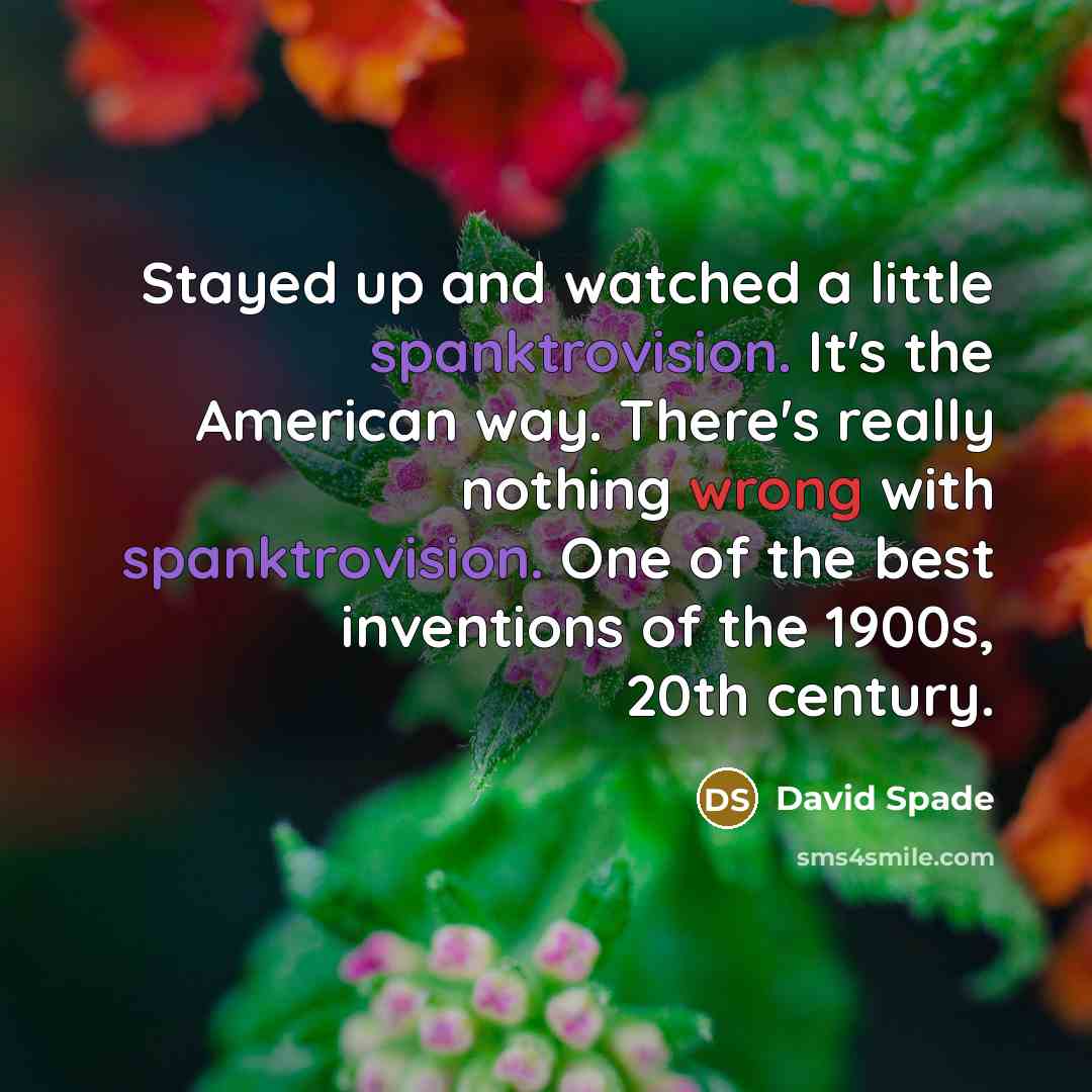 “Stayed up and watched a little spanktrovision. It's the American way. There's really nothing wrong with spanktrovision. One of the best inventions of the 1900s, 20th century.” quote by David Spade
