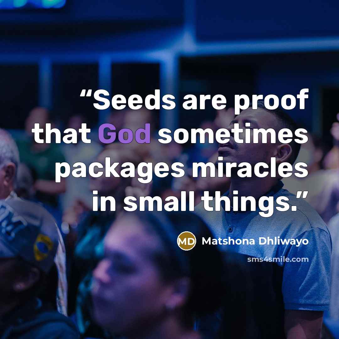 “Seeds are proof that God sometimes packages miracles in small things.” quote by Matshona Dhliwayo