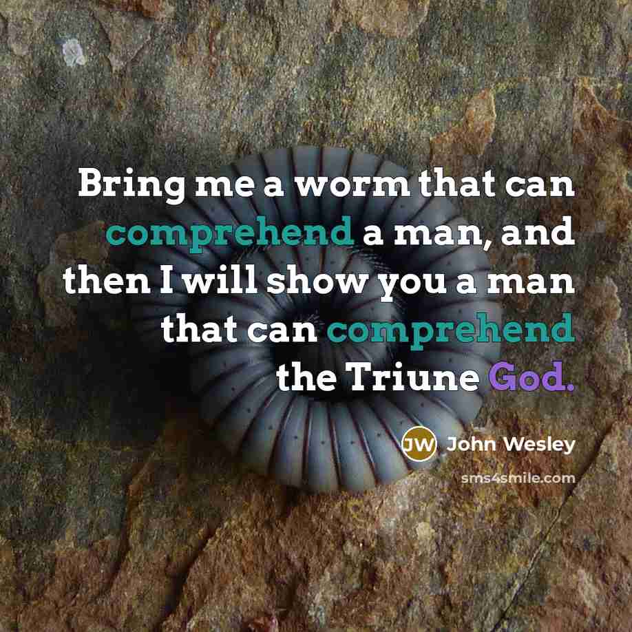“Bring me a worm that can comprehend a man, and then I will show you a man that can comprehend the Triune God.” quote by John Wesley